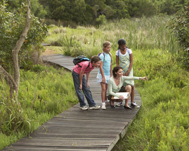 Kids Tallahassee: Nature and Animal Summer Camps - Fun 4 Tally Kids