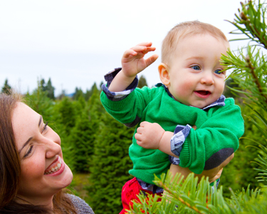 Kids Tallahassee: Christmas Tree Farms - Fun 4 Tally Kids