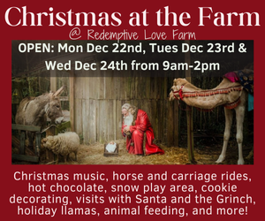 Redemption Love Farm Christmas