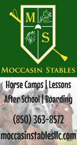 Moccasin Stables Camps 