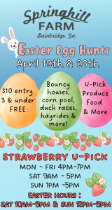 Spring Hill Farm Egg Hunt and Strawberry UPick