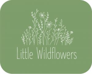 Little Wildflowers Playgroup