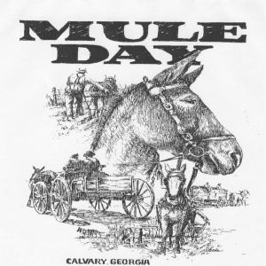 mule.jpg