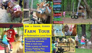 group-guided-farm-tour-scaled.jpg