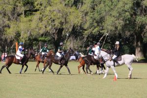 Pebble Hill Polo Classic