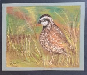 Quail in oil pastels