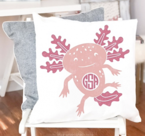 After School Art-CANVAS PILLOW.png