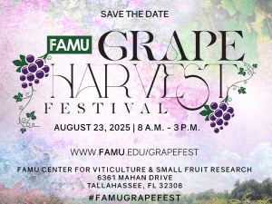 famu.png