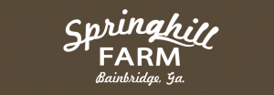 springhill_160x300_new-6.png