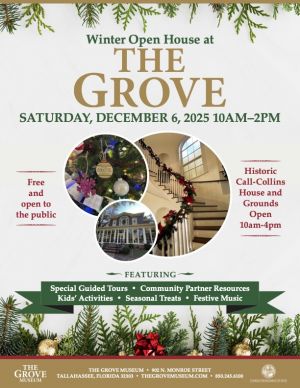 Yaupon Holly Berries at The Grove Museum