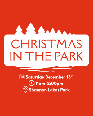 Christmas in the park
