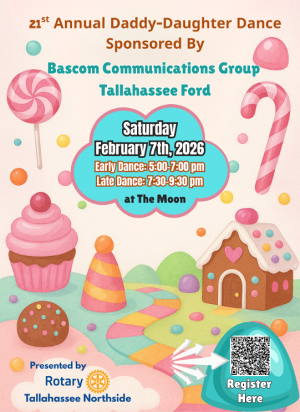 DDD flyer 2026 (1).png