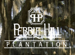 Screenshot 2026-01-11 at 4.00.02 PM.png