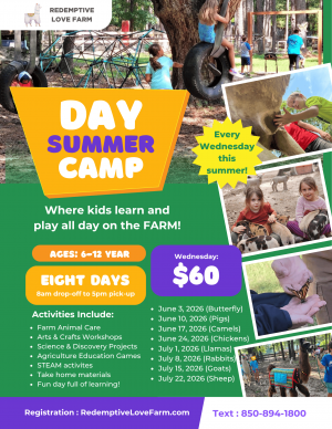 Redemptive-love-Farm-summer-ad (1).png