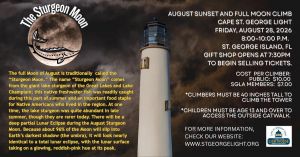 778972297_1412991094020911_2499478229586539899_n.jpg