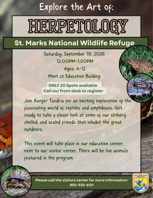 Herpetology Flyer