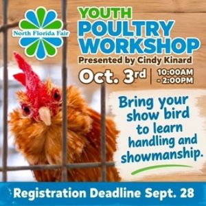 Poultry_Workshop(1).jpg
