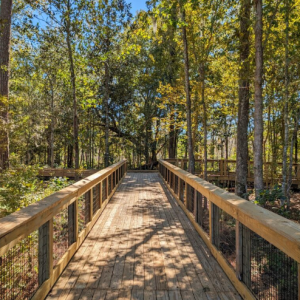 Debbie Lightsey Nature Park