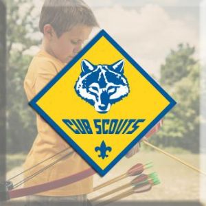 Cub Scout Day Camp