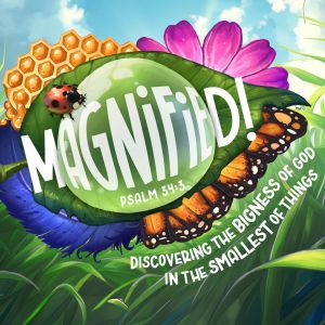 First Baptist Church of Tallahassee VBS