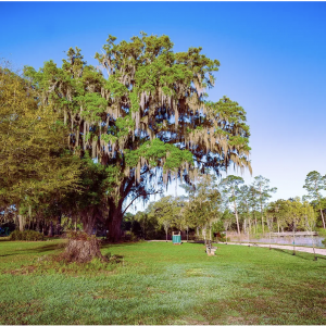 Pedrick Pond Park