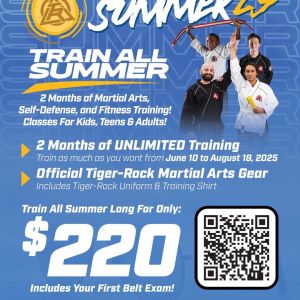 Tiger Rock Martial Arts Summer Program Deal