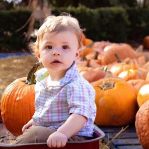 10/11-10/31: The Pumpkin Patch at Hubbard Christmas Tree Farm