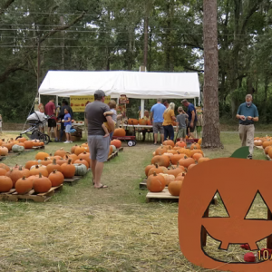 10/19: Fall Festival at Gray Memorial United Methodist Church