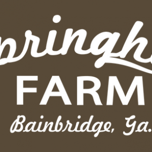 09/27-11/01: Fall Family Fun at Spring Hill Farm