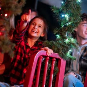 11/21-12/31: Wild Adventures Christmas Wild and Bright