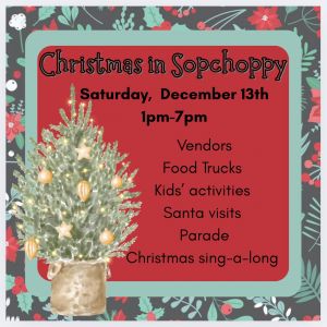 12/13: Christmas in Sopchoppy