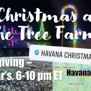 11/27-01/01: Allison Christmas Spectacular - Christmas at the Tree Farm