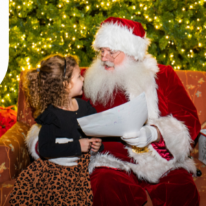 12/09: Archbold's Annual Tree of Lights