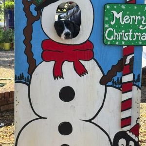 12/13: Santa Paws at Tom Brown Park