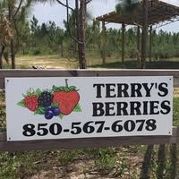 Terry's Berries in Bristol, FL
