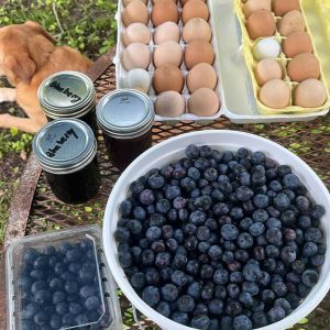 Momma Harper's Farm Blueberry and Fig U-Pick