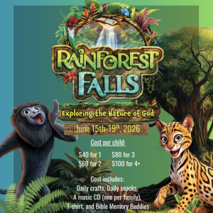 Co-Cathedral of St. Thomas More VBS