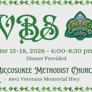 Miccosukee Methodist Church VBS