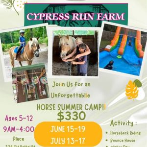 Horse Summer Camp at The Sanctuary at Cypress Run Farm