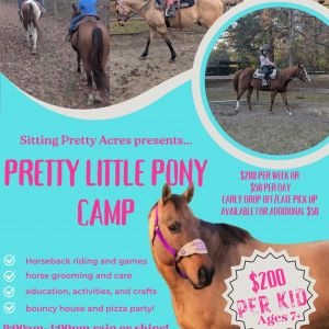 Sitting Pretty Acres Pretty Little Pony Camp