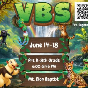 Mt. Elon Baptist Church VBS