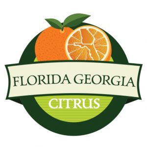 Florida Georgia Citrus - Farm Tour