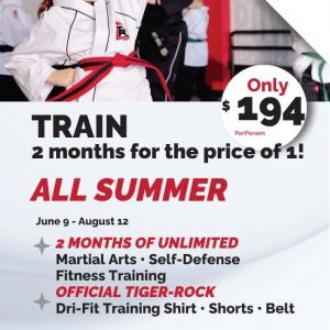 Tiger Rock Martial Arts Summer Program Deal