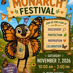 11/07: St Marks National Wildlife Refuge Monarch Festival