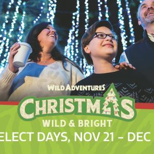 11/21-12/31: Wild Adventures Christmas Wild and Bright