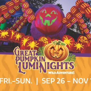 09/26-11/1: Wild Adventures Great Pumpkin LumiNights