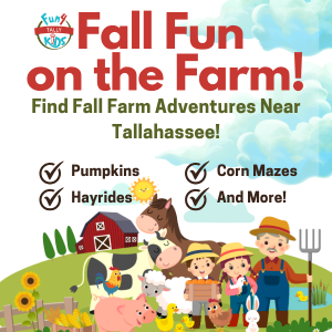 Fall Farm Fun