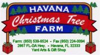 Havana Christmas Tree Farm