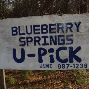 Blueberry Springs Farm