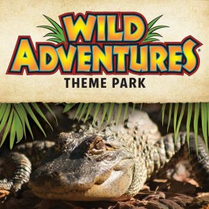 Wild Adventures Theme Park and Splash Island